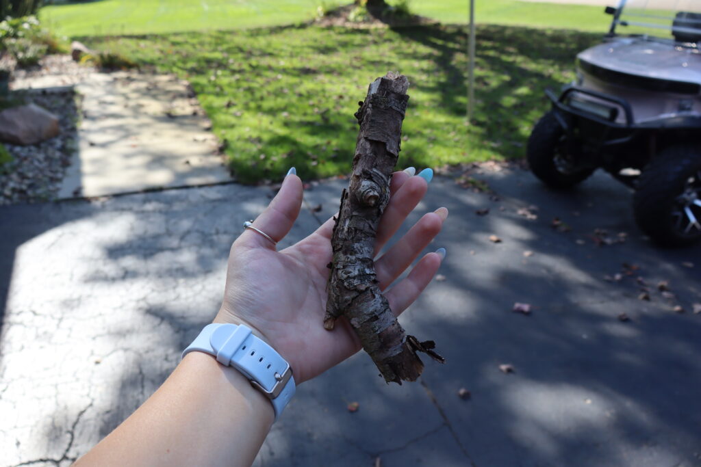 Picture of stick used for the wood pumpkin stem.